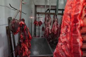 Carcasses in slaughterhouse chiller room - Gretna Quality Meats, Tasmania - Captured at Gretna Meatworks, Rosegarland TAS Australia.