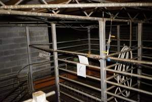 Holding pens - Gretna Quality Meats, Tasmania - Captured at Gretna Meatworks, Rosegarland TAS Australia.