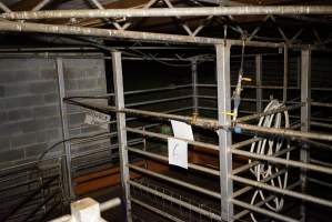 Holding pens - Gretna Quality Meats, Tasmania - Captured at Gretna Meatworks, Rosegarland TAS Australia.