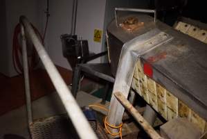 Killing table at end of V Restrainer - Race, killing and processing area for sheep and bobby calves - Captured at Tasmanian Quality Meats Abattoir, Cressy TAS Australia.