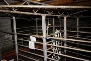 Holding pens - Gretna Quality Meats, Tasmania - Captured at Gretna Meatworks, Rosegarland TAS Australia.