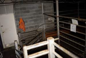 Holding pens - Gretna Quality Meats, Tasmania - Captured at Gretna Meatworks, Rosegarland TAS Australia.