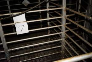 Holding pens - Gretna Quality Meats, Tasmania - Captured at Gretna Meatworks, Rosegarland TAS Australia.