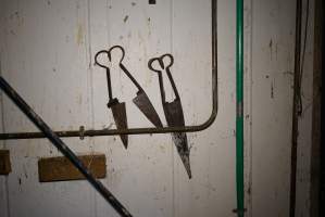 Old sheep shears - Gretna Quality Meats, Tasmania - Captured at Gretna Meatworks, Rosegarland TAS Australia.