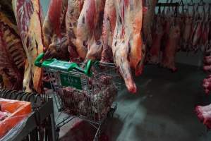 Carcasses in slaughterhouse chiller room - Trolley full of sheep heads. Gretna Quality Meats, Tasmania - Captured at Gretna Meatworks, Rosegarland TAS Australia.