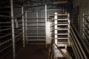 Kill pen at top of ramp next to holding pens - Gretna Quality Meats, Tasmania - Captured at Gretna Meatworks, Rosegarland TAS Australia.