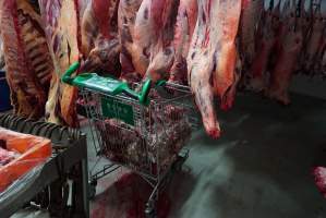 Carcasses in slaughterhouse chiller room - Trolley full of sheep heads. Gretna Quality Meats, Tasmania - Captured at Gretna Meatworks, Rosegarland TAS Australia.