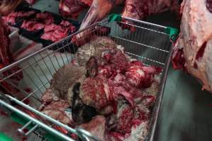 Trolley full of sheep heads in slaughterhouse chiller room - Gretna Quality Meats, Tasmania - Captured at Gretna Meatworks, Rosegarland TAS Australia.