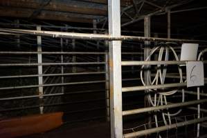 Holding pens - Unloading ramp in background - Captured at Gretna Meatworks, Rosegarland TAS Australia.