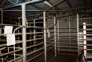 Holding pens - Gretna Quality Meats, Tasmania - Captured at Gretna Meatworks, Rosegarland TAS Australia.