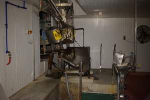 Killing table at end of V Restrainer - Race, killing and processing area for sheep and bobby calves - Captured at Tasmanian Quality Meats Abattoir, Cressy TAS Australia.