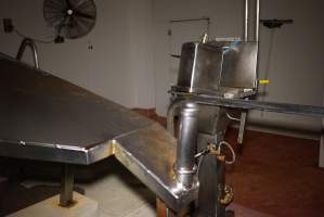 Killing table - Race, killing and processing area for sheep and bobby calves - Captured at Tasmanian Quality Meats Abattoir, Cressy TAS Australia.