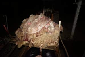 Pile of sheep skins - Gretna Quality Meats, Tasmania - Captured at Gretna Meatworks, Rosegarland TAS Australia.