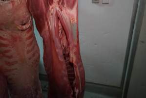 Carcasses in slaughterhouse chiller room - Gretna Quality Meats, Tasmania - Captured at Gretna Meatworks, Rosegarland TAS Australia.