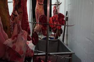 Carcasses in slaughterhouse chiller room - Gretna Quality Meats, Tasmania - Captured at Gretna Meatworks, Rosegarland TAS Australia.