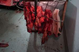 Carcasses in slaughterhouse chiller room - Gretna Quality Meats, Tasmania - Captured at Gretna Meatworks, Rosegarland TAS Australia.