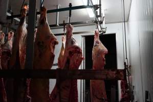 Carcasses in slaughterhouse chiller room - Gretna Quality Meats, Tasmania - Captured at Gretna Meatworks, Rosegarland TAS Australia.