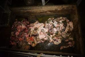 Dumpster full of guts and body parts - Gretna Quality Meats, Tasmania - Captured at Gretna Meatworks, Rosegarland TAS Australia.