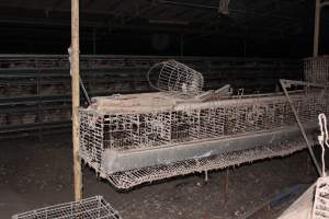 Empty cages in foreground, full three tiers in background - Australian egg farming at Steve's Fresh Farm Eggs NSW - Captured at Steve's Fresh Farm Eggs, Rossmore NSW Australia.