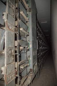 Hens in battery cages - Australian egg farming at Kingsland LPC Caged Egg Farm, near Young NSW - Captured at Kingsland Caged Egg Facility, Bendick Murrell NSW Australia.