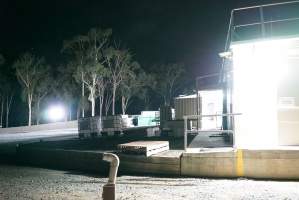 Northeast corner of hatchery - Green maceration dumpster in background - Captured at SBA Hatchery, Bagshot VIC Australia.