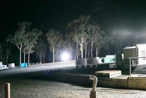 Northeast corner of hatchery - Green maceration dumpster in background - Captured at SBA Hatchery, Bagshot VIC Australia.