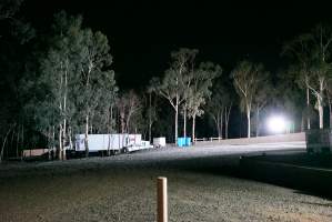 Northeast corner of hatchery - Captured at SBA Hatchery, Bagshot VIC Australia.