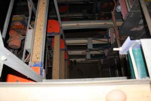 Conveyor belts for egg collection - Australian egg farming at PACE Henholme Egg Farm, near Newcastle NSW - Captured at Henholme Battery Hen Farm, Buchanan NSW Australia.
