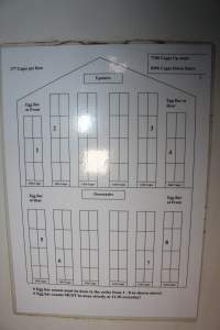 Signage with diagram and numbers of cages - 7788 cages up stairs, 8496 cages down stairs, 177 cages per row - Captured at Henholme Battery Hen Farm, Buchanan NSW Australia.