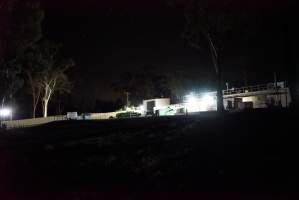 Northeast corner of hatchery - Green maceration dumpster in background - Captured at SBA Hatchery, Bagshot VIC Australia.