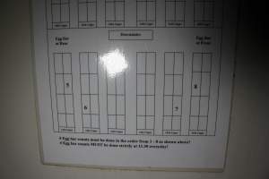 Signage with diagram of cages - Australian egg farming at PACE Henholme Egg Farm, near Newcastle NSW - Captured at Henholme Battery Hen Farm, Buchanan NSW Australia.