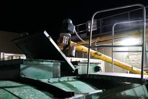 Pipe leading to maceration dumpster - Disposing of remains of macerated chicks - Captured at SBA Hatchery, Bagshot VIC Australia.