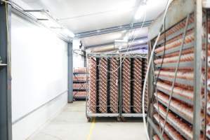 Eggs in cool room prior to incubation - Captured at SBA Hatchery, Bagshot VIC Australia.