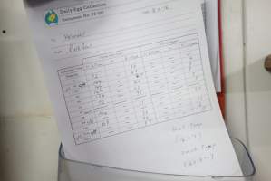 Daily egg collection record - From Pine Row facility - Captured at SBA Hatchery, Bagshot VIC Australia.