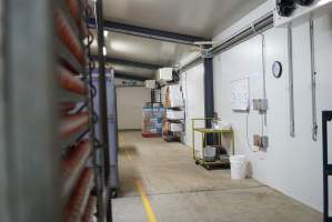 Eggs in cool room prior to incubation - Captured at SBA Hatchery, Bagshot VIC Australia.