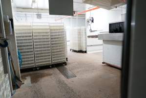 Sorting room outside sealed maceration room - Captured at SBA Hatchery, Bagshot VIC Australia.