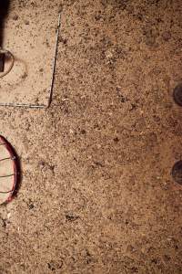 Floor filled with bugs - Australian duck farming - Captured at Tinder Creek Duck Farm, Mellong NSW Australia.