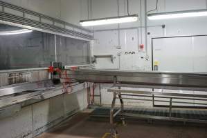 Conveyor belts in chick sorting area - Healthy female chicks continue into debeaking room, male chicks and unhealthy females go to macerator. - Captured at SBA Hatchery, Bagshot VIC Australia.