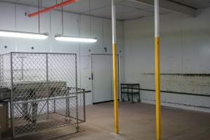 Start of chick sorting area - Trays of live chicks are stacked here on hatching days and dumped onto conveyor belt. - Captured at SBA Hatchery, Bagshot VIC Australia.