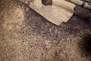 Floor filled with bugs - Australian duck farming - Captured at Tinder Creek Duck Farm, Mellong NSW Australia.