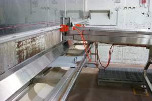 Conveyor belts in chick sorting area - Healthy female chicks continue into debeaking room, male chicks and unhealthy females go to macerator. - Captured at SBA Hatchery, Bagshot VIC Australia.