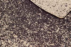 Floor filled with bugs - Australian duck farming - Captured at Tinder Creek Duck Farm, Mellong NSW Australia.