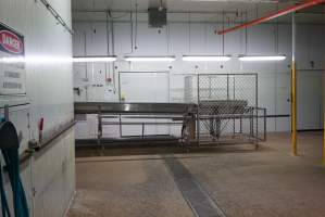 Chick sorting area - Sealed maceration room on left - Captured at SBA Hatchery, Bagshot VIC Australia.