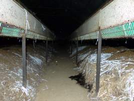 Rabbit farming at Baldivis Rabbits WA - Captured at Baldivis Rabbits, Baldivis WA Australia.