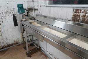 Conveyor belt leading into macerator - Takes male chicks and unhealthy females into macerator - Captured at SBA Hatchery, Bagshot VIC Australia.