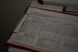 Rearing record card - Includes mortality records - Captured at SBA Hatchery, Bagshot VIC Australia.