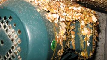 Egg shells and remains of macerated chickens underneath macerator - During 'Eggs Exposed' raid on hatchery, 21 July 2016 - Captured at SBA Hatchery, Bagshot VIC Australia.