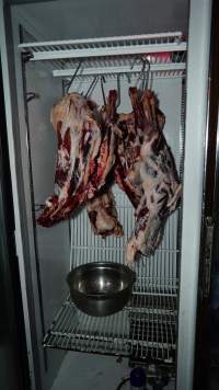 Hanging flesh of unknown animals in fridge of home slaughterhouse - 'Tasmanian Fresh Farmed Rabbits' - Captured at Tasmanian Fresh Farmed Rabbits (Glencroft Farm), Penguin TAS Australia.