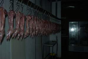 Slaughtered and skinned rabbits hanging in home slaughterhouse - 'Tasmanian Fresh Farmed Rabbits' - Captured at Tasmanian Fresh Farmed Rabbits (Glencroft Farm), Penguin TAS Australia.