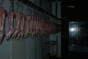 Slaughtered and skinned rabbits hanging in home slaughterhouse - 'Tasmanian Fresh Farmed Rabbits' - Captured at Tasmanian Fresh Farmed Rabbits (Glencroft Farm), Penguin TAS Australia.